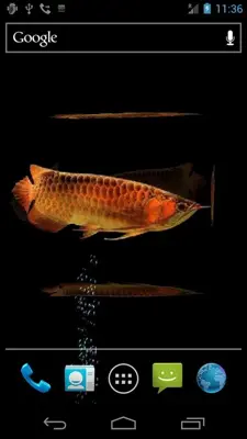 Arowana Free android App screenshot 2