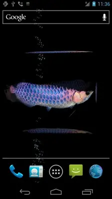 Arowana Free android App screenshot 4